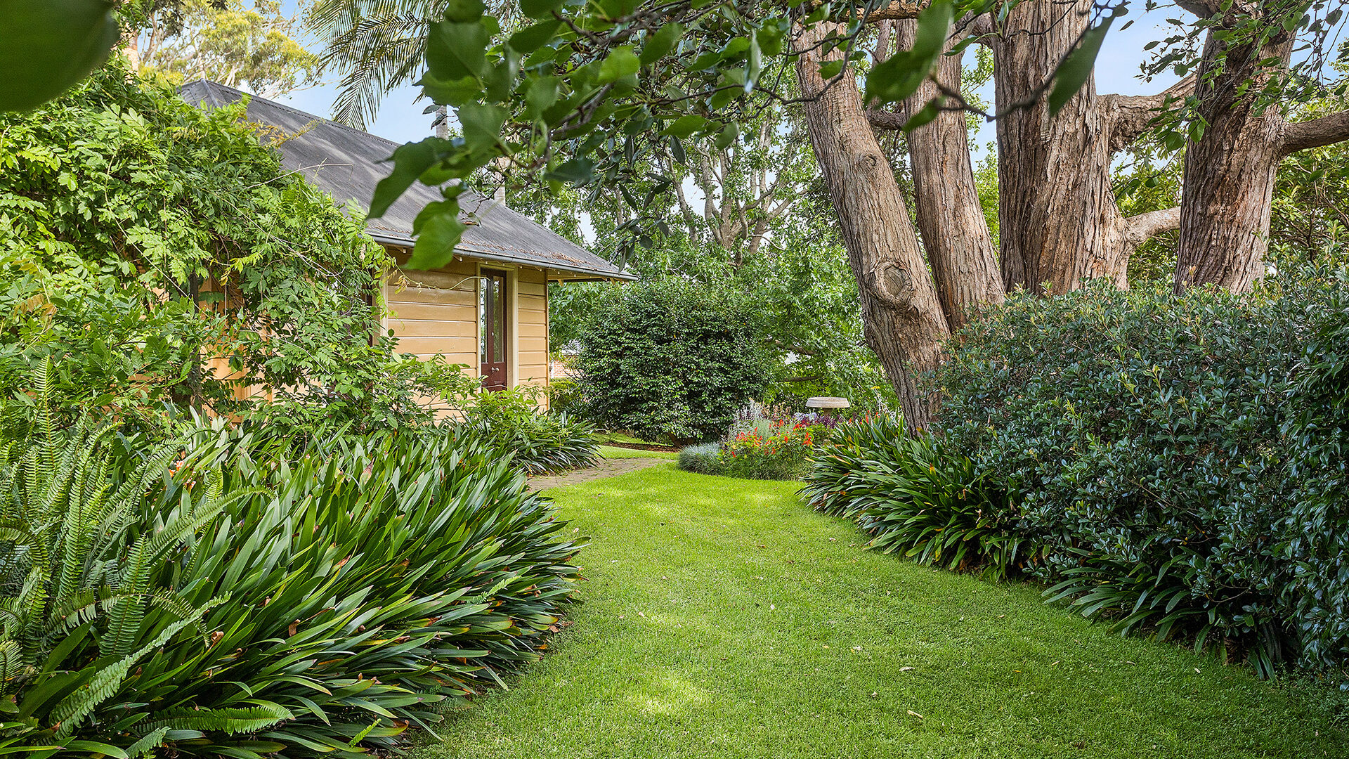 Sold - 7-9 Hawthorn Street - New Property in Tarrawanna - Real Estate by Andrew McLeod