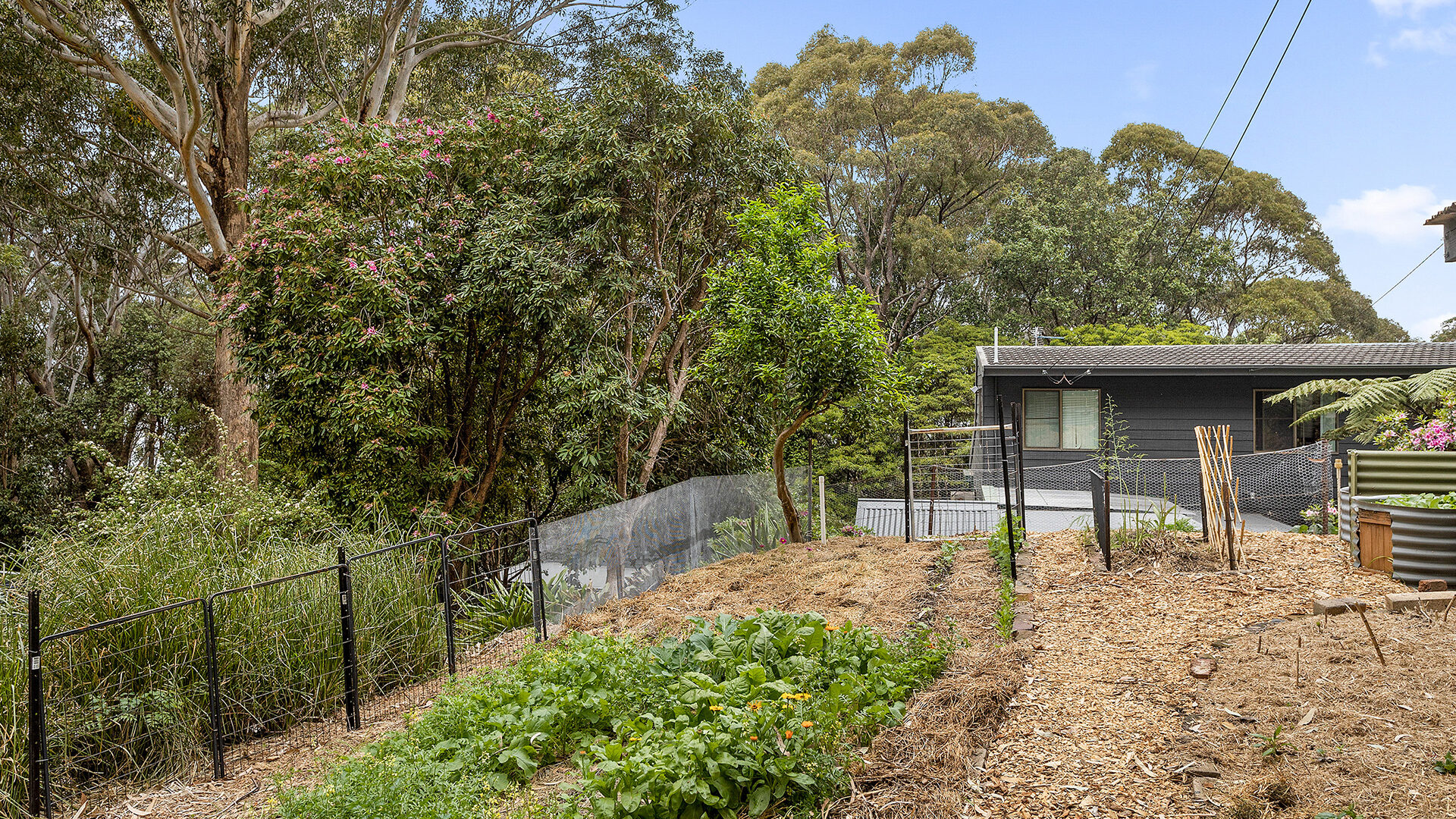 Sold - 13-35 Asquith Street - New Property in Austinmer - Real Estate by Vanessa Denison-Pender