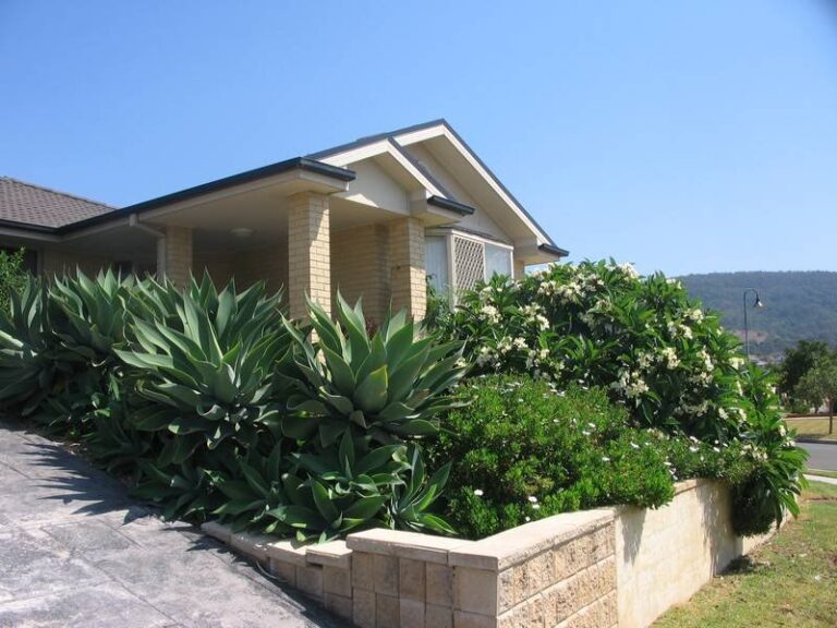 Sold - 2 Shannon Street - New Property in Albion Park - Real Estate by McGrath Wollongong