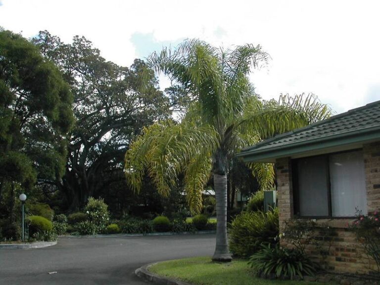 Sold - 15/15-22 Gibsons Road - New Property in Figtree - Real Estate by McGrath Wollongong