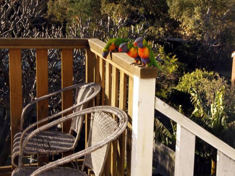 Sold - 45 Popes Road - New Property in Woonona - Real Estate by McGrath Wollongong