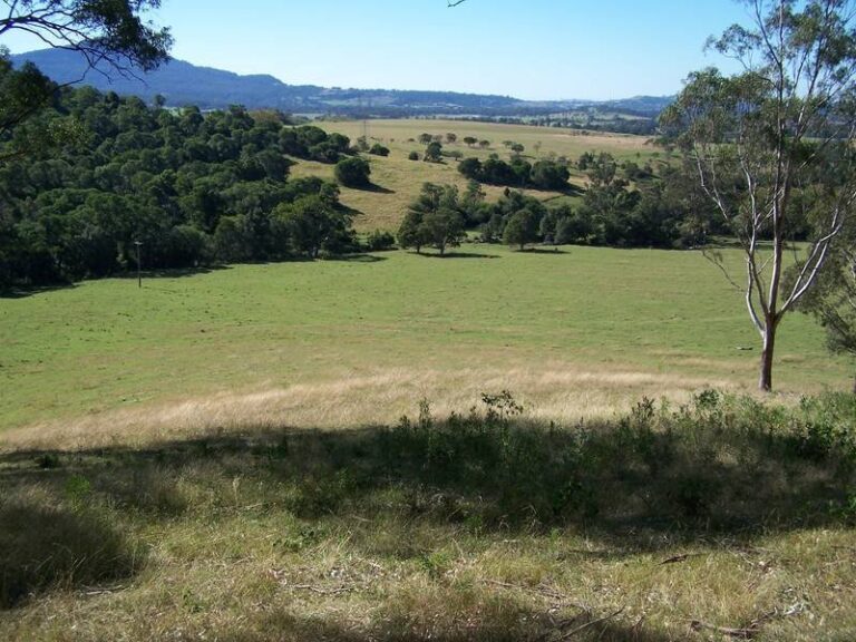 Sold - 60 Hayes Lane - New Property in Dapto - Real Estate by McGrath Wollongong