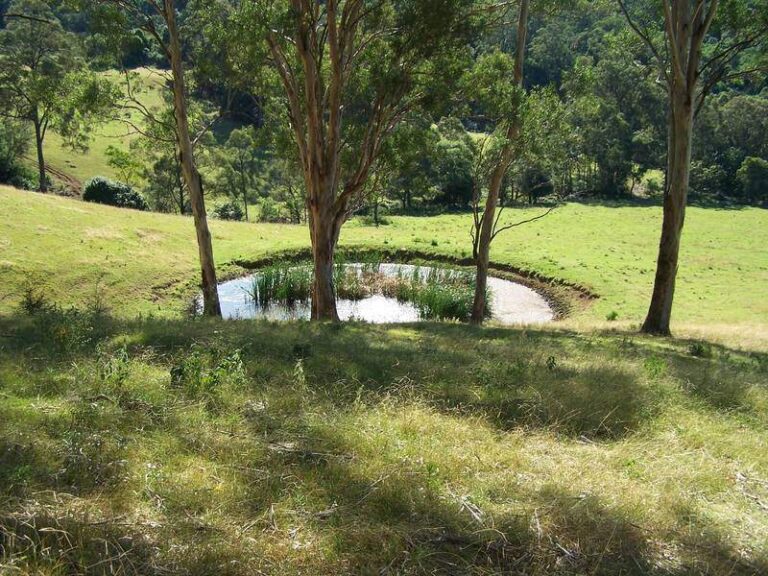 Sold - 60 Hayes Lane - New Property in Dapto - Real Estate by McGrath Wollongong