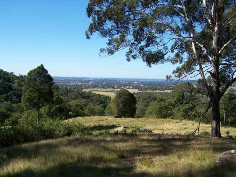 Sold - 60 Hayes Lane - New Property in Dapto - Real Estate by McGrath Wollongong