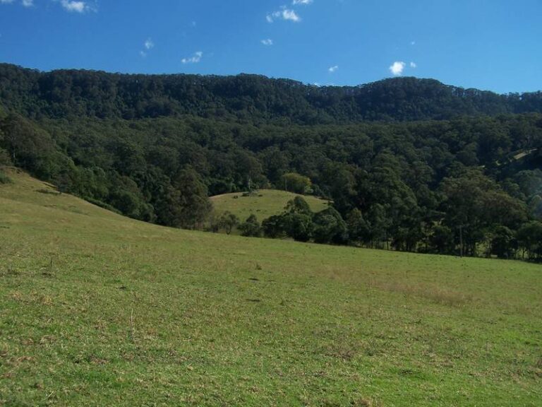 Sold - 60 Hayes Lane - New Property in Dapto - Real Estate by McGrath Wollongong
