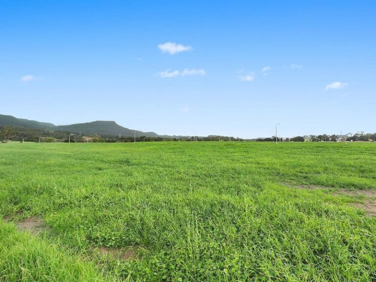 Sold - 8 Curlew Street - New Property in Wongawilli - Real Estate by 