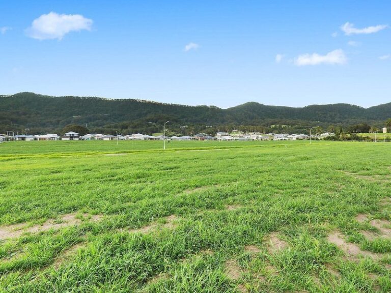 Sold - 8 Curlew Street - New Property in Wongawilli - Real Estate by 