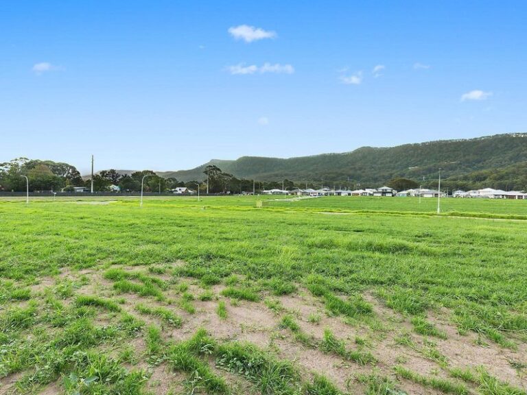 Sold - 8 Curlew Street - New Property in Wongawilli - Real Estate by 