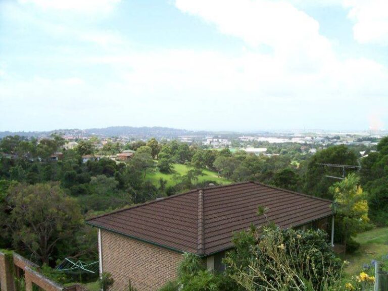 Sold - 54 Iola Avenue - New Property in Farmborough Heights - Real Estate by 