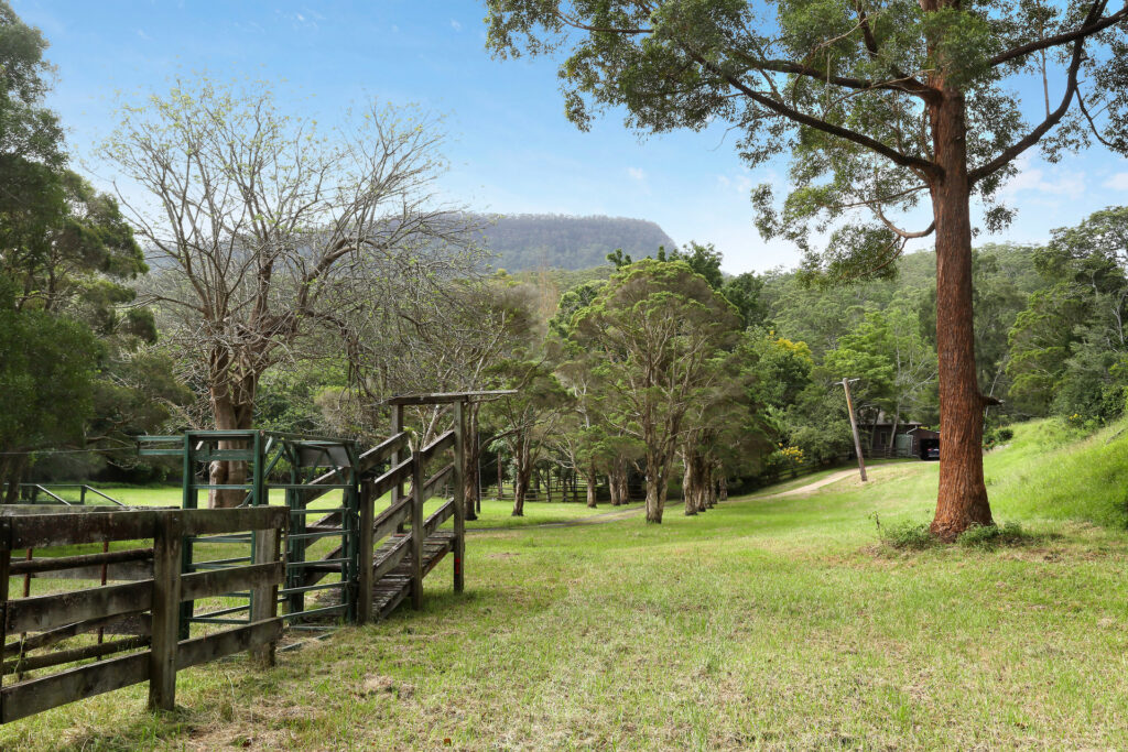 Sold - 231 Reddalls Road - New Property in Kembla Grange - Real Estate by McGrath Thirroul