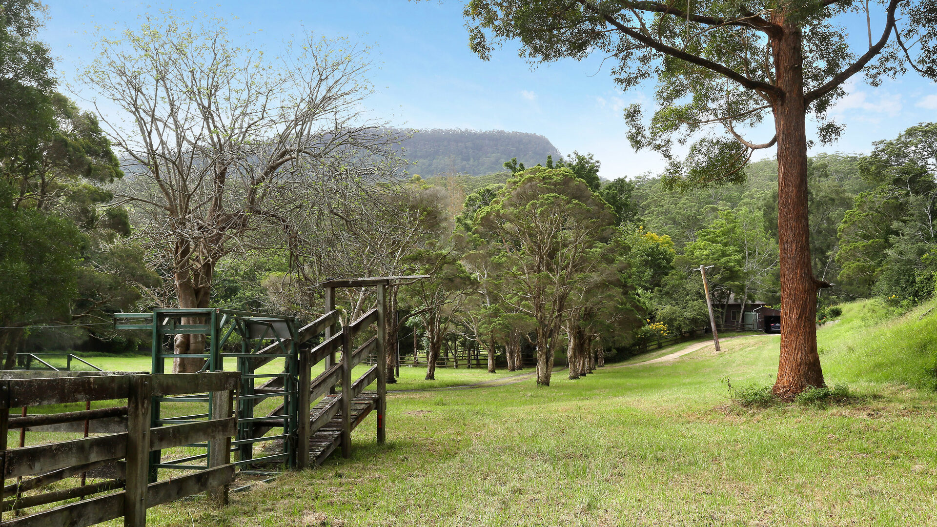 Sold - 231 Reddalls Road - New Property in Kembla Grange - Real Estate by McGrath Thirroul