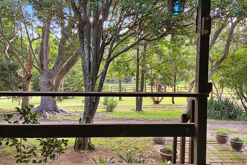 Sold - 231 Reddalls Road - New Property in Kembla Grange - Real Estate by McGrath Thirroul