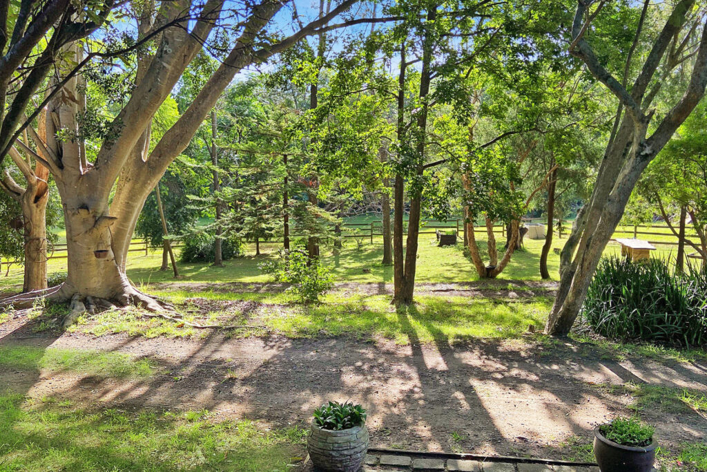 Sold - 231 Reddalls Road - New Property in Kembla Grange - Real Estate by McGrath Thirroul