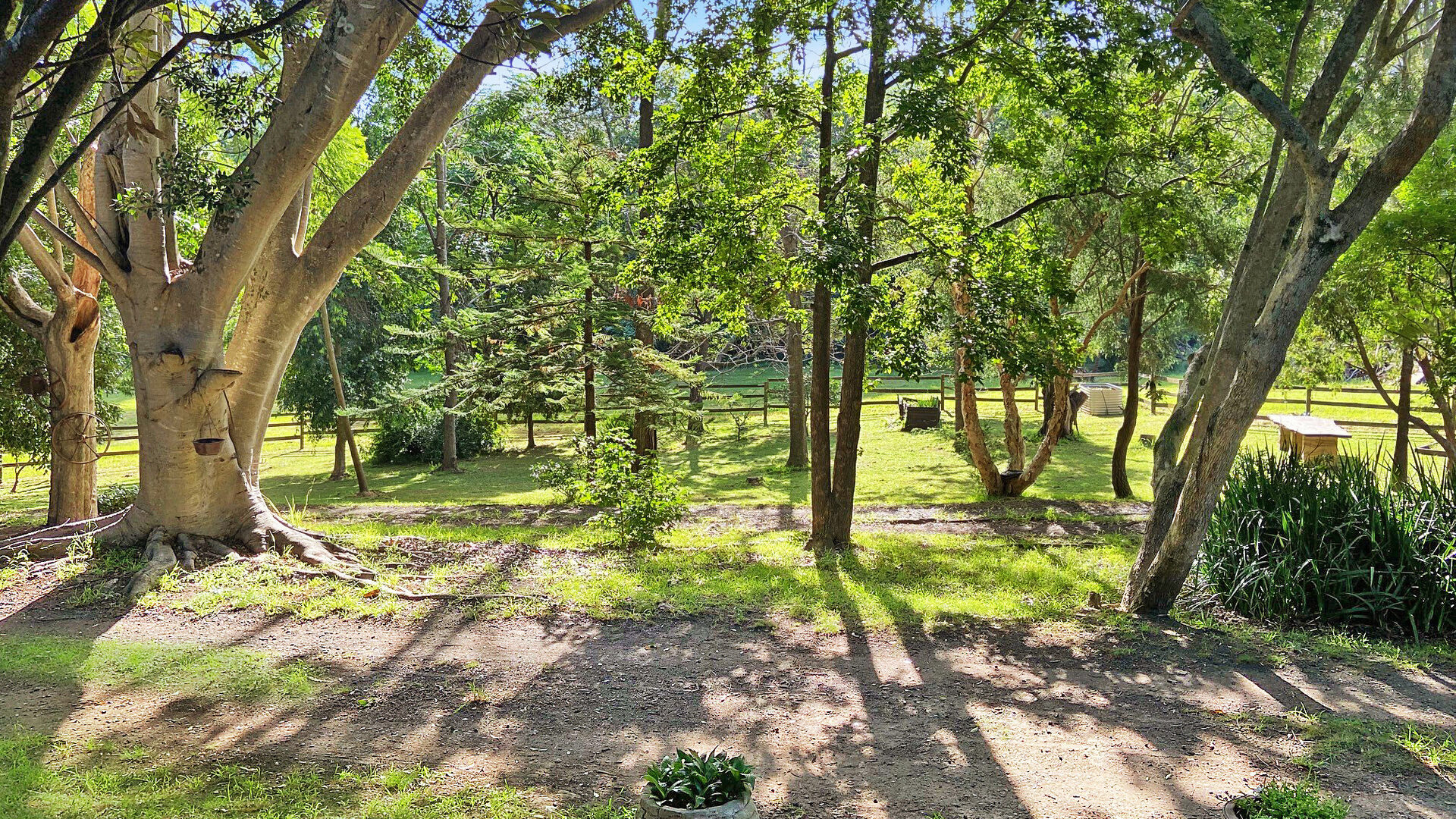 Sold - 231 Reddalls Road - New Property in Kembla Grange - Real Estate by McGrath Thirroul