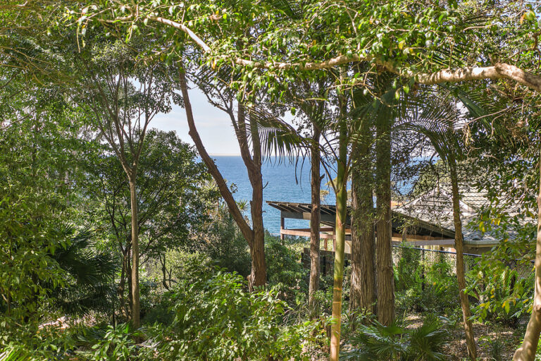 Sold - 494 Lawrence Hargrave Drive - New Property in Wombarra - Real Estate by Vanessa Denison-Pender
