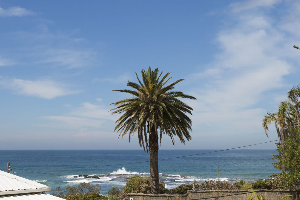 Sold - 6-8 Reef Avenue - New Property in Wombarra - Real Estate by McGrath Thirroul