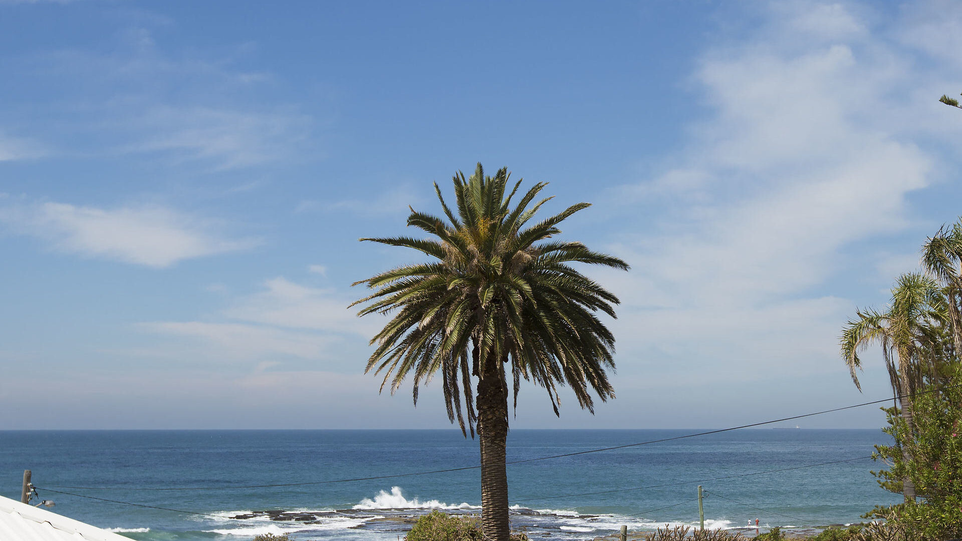 Sold - 6-8 Reef Avenue - New Property in Wombarra - Real Estate by McGrath Thirroul
