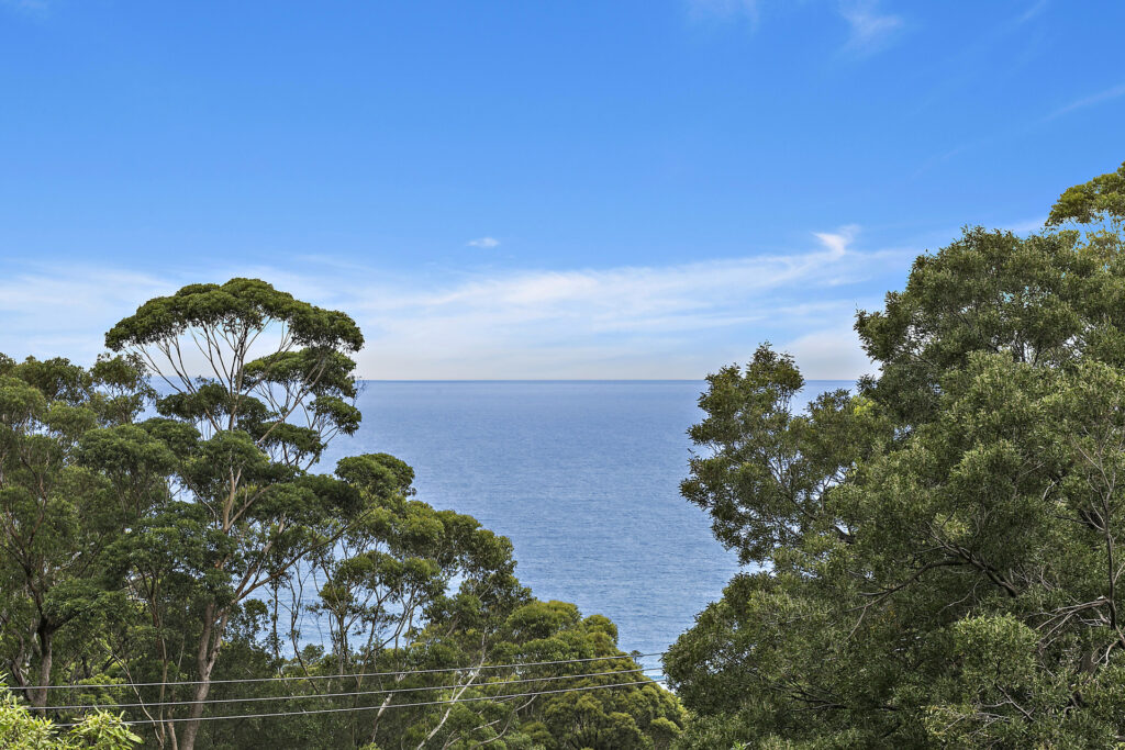 Sold - 116 Buttenshaw Drive - New Property in Austinmer - Real Estate by Vanessa Denison-Pender