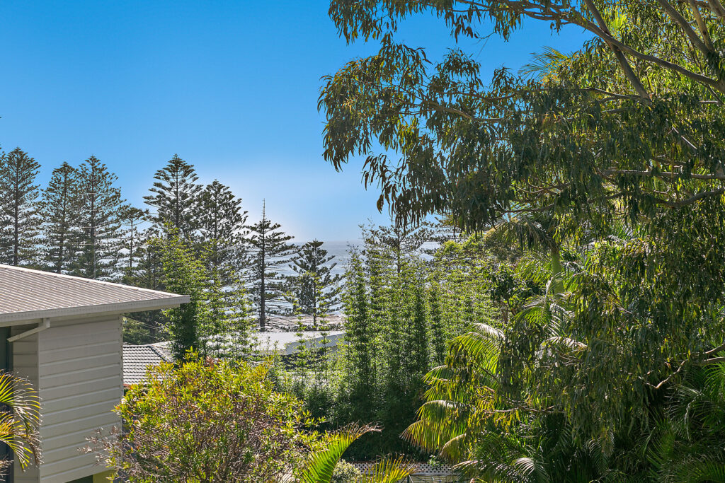 Sold - 15C Park Street - New Property in Coledale - Real Estate by Laurie Johnston