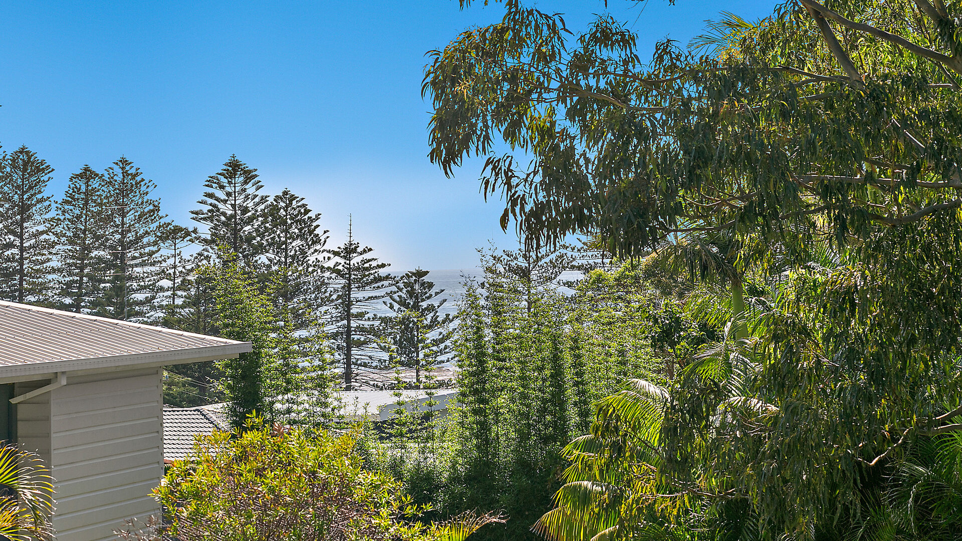 Sold - 15C Park Street - New Property in Coledale - Real Estate by Laurie Johnston