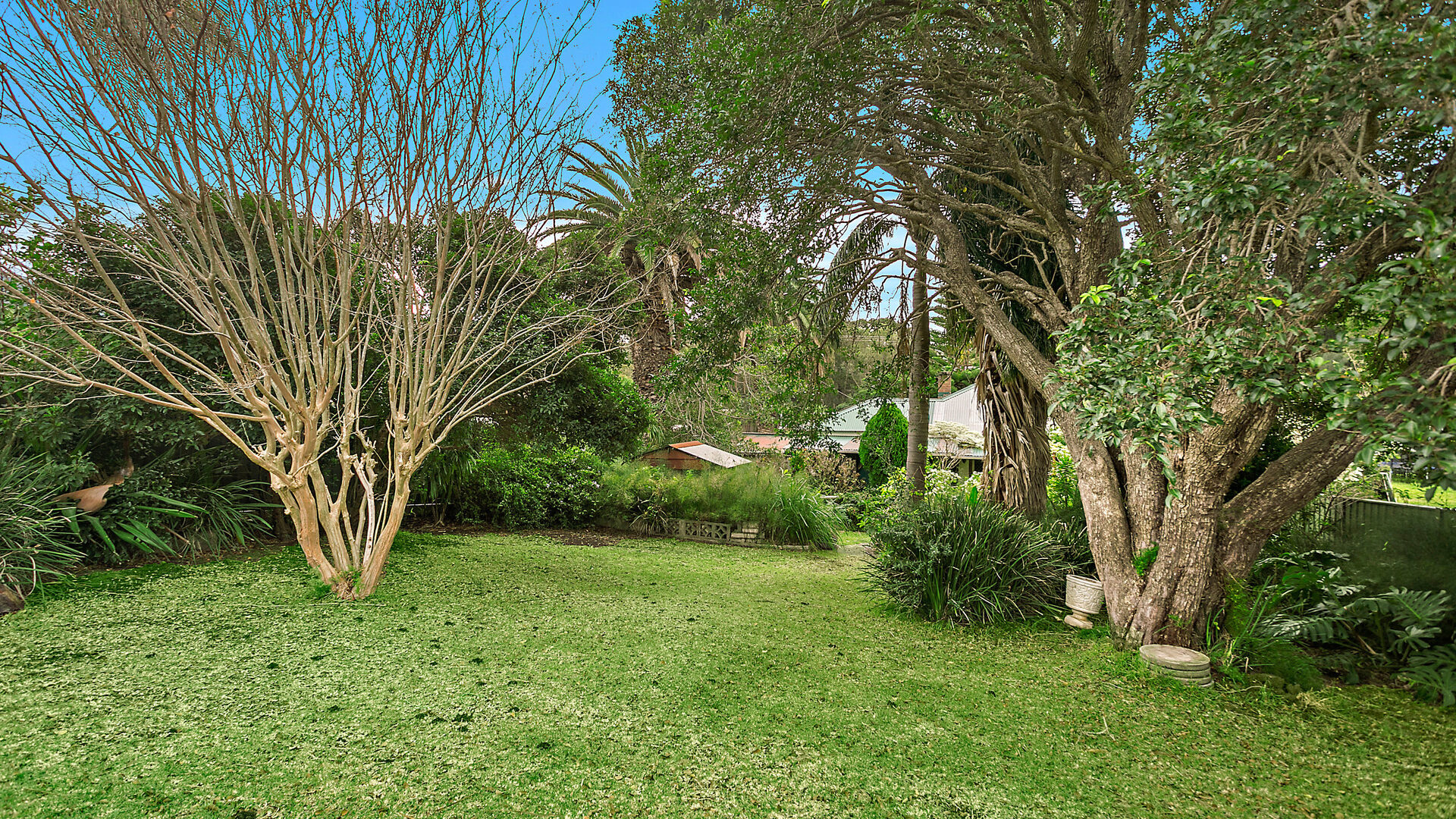 Sold - 25 Lawrence Street - New Property in Woonona - Real Estate by McGrath Thirroul