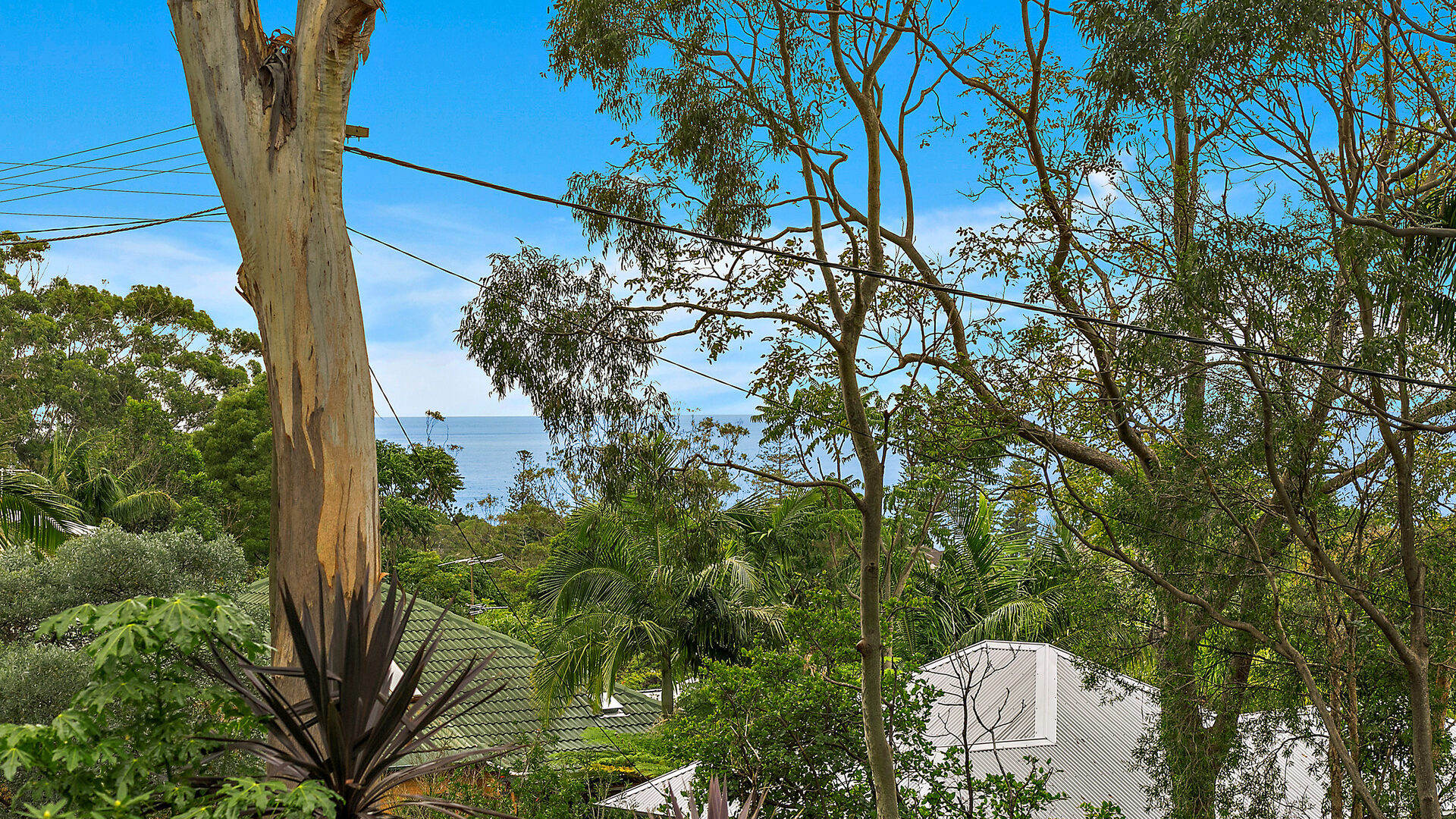 Sold - 20 Balfour Road - New Property in Austinmer - Real Estate by Laurie Johnston