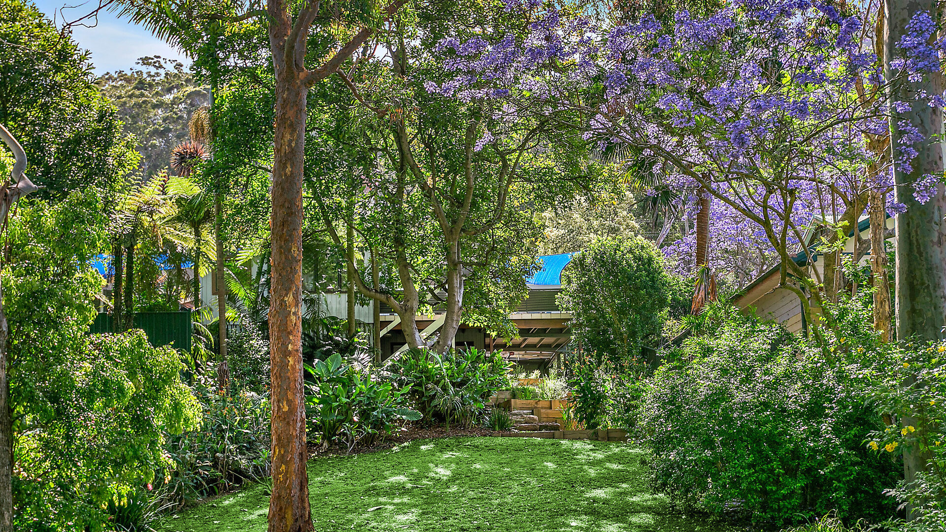 Sold - 65 Morrison Avenue - New Property in Wombarra - Real Estate by Laurie Johnston