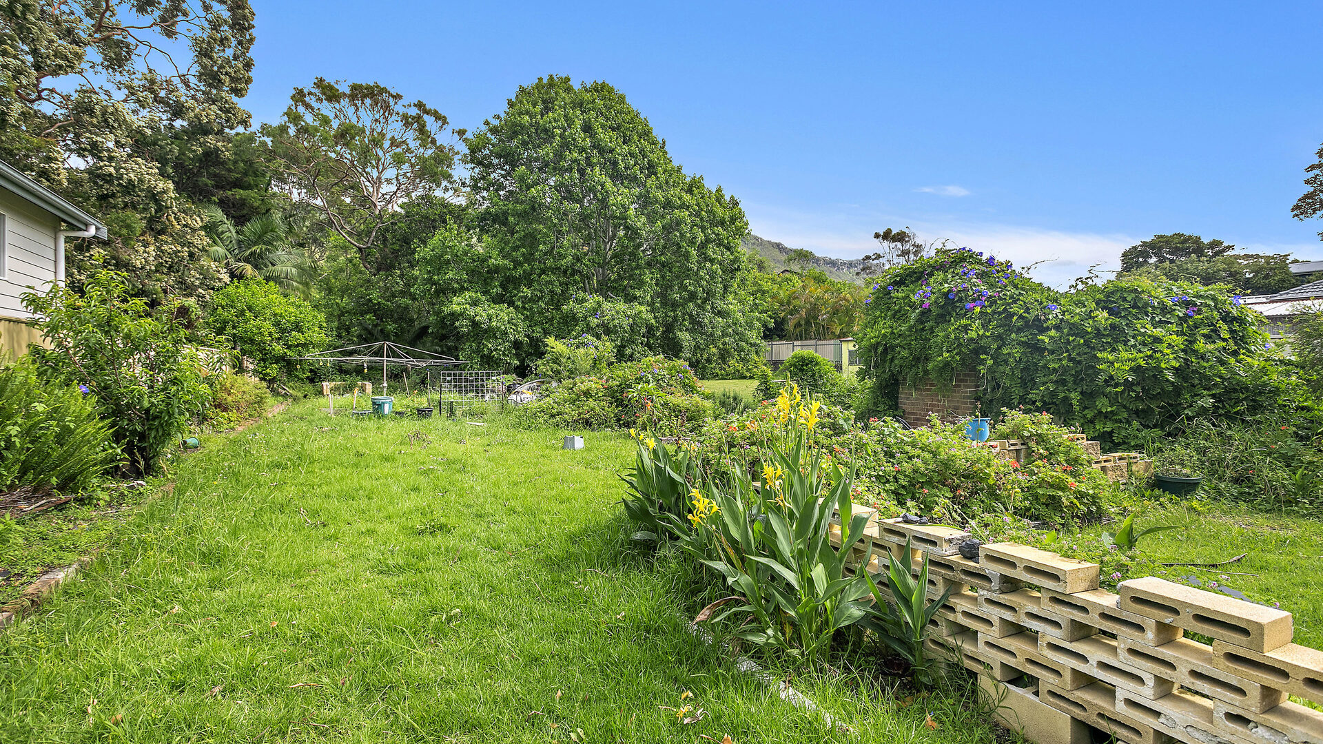 Sold - 50 Redman Avenue - New Property in Thirroul - Real Estate by Vanessa Denison-Pender