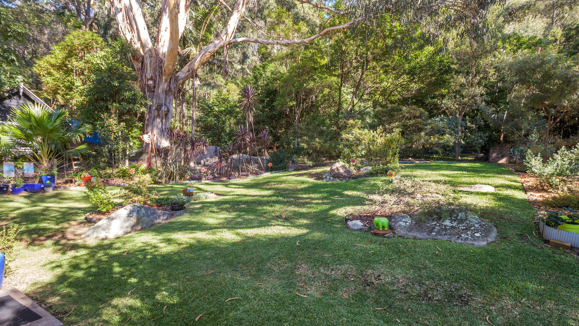 Sold - 62 Buttenshaw Drive - New Property in Coledale - Real Estate by Vanessa Denison-Pender