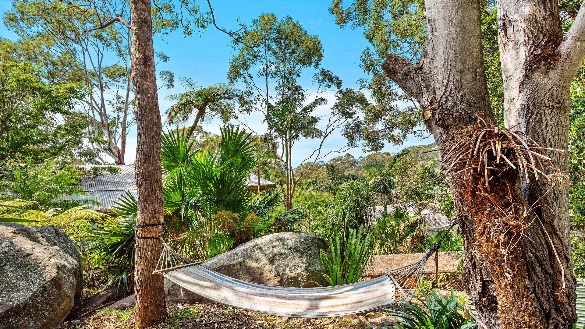 Sold - 12 National Avenue - New Property in Bulli - Real Estate by McGrath Thirroul