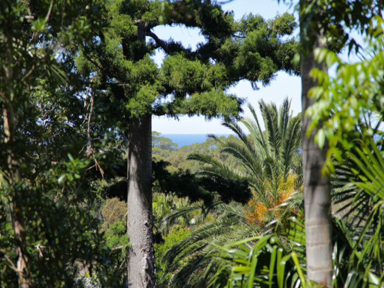 Sold - 41 Asquith Street - New Property in Austinmer - Real Estate by Vanessa Denison-Pender