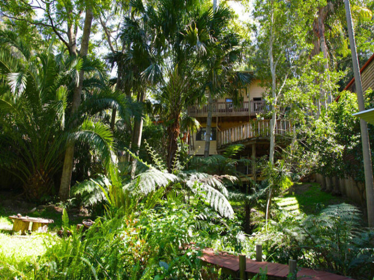Sold - 41 Asquith Street - New Property in Austinmer - Real Estate by Vanessa Denison-Pender