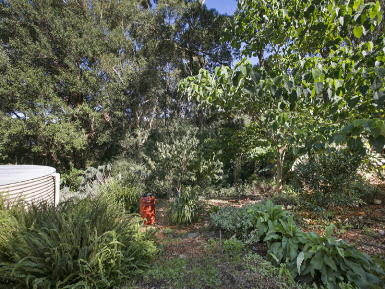 Sold - 115 Morrison Avenue - New Property in Wombarra - Real Estate by Vanessa Denison-Pender