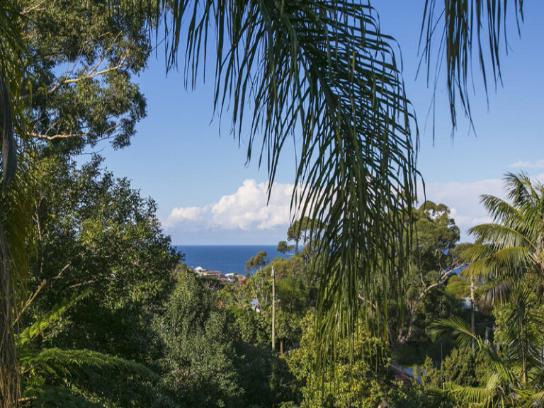 Sold - 13 Treetop Glen - New Property in Thirroul - Real Estate by Vanessa Denison-Pender