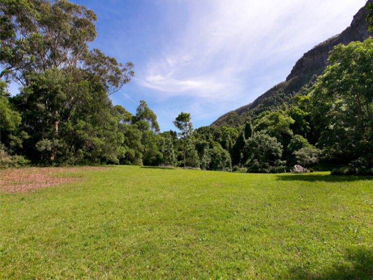 Sold - 38 Morrison Avenue - New Property in Coledale - Real Estate by Vanessa Denison-Pender