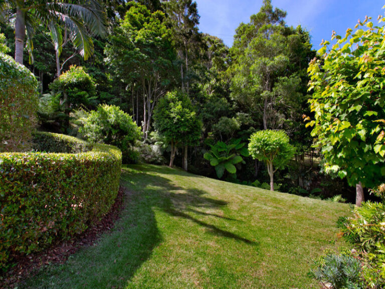 Sold - 38 Morrison Avenue - New Property in Coledale - Real Estate by Vanessa Denison-Pender