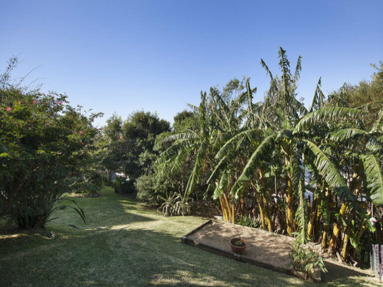 Sold - 531A Lawrence Hargrave Drive - New Property in Wombarra - Real Estate by Vanessa Denison-Pender