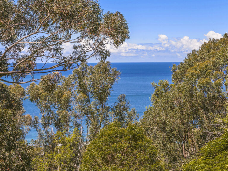 Sold - 33 Buttenshaw Place - New Property in Austinmer - Real Estate by Vanessa Denison-Pender