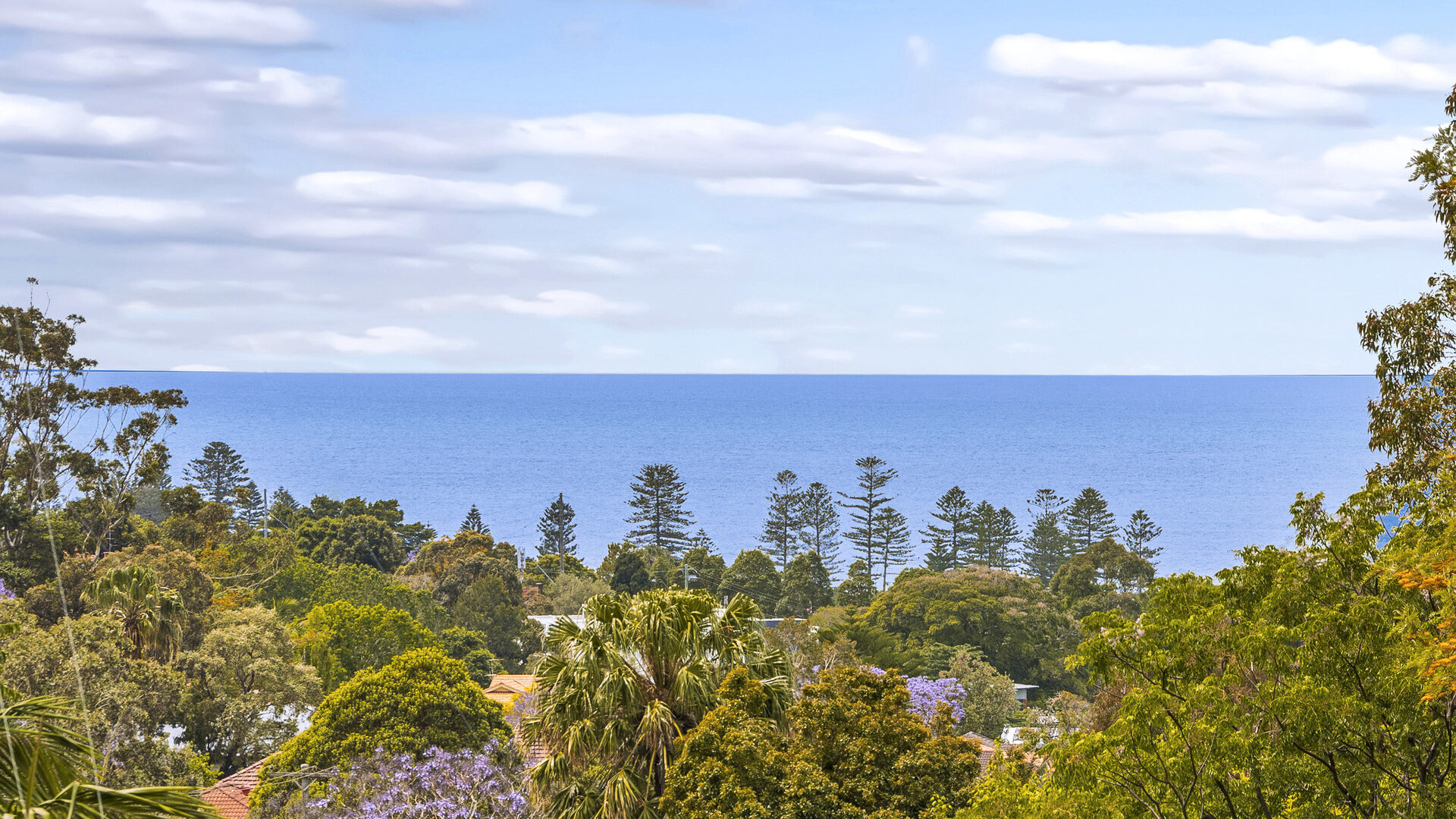 Sold - 77 Lachlan Street - New Property in Thirroul - Real Estate by Vanessa Denison-Pender
