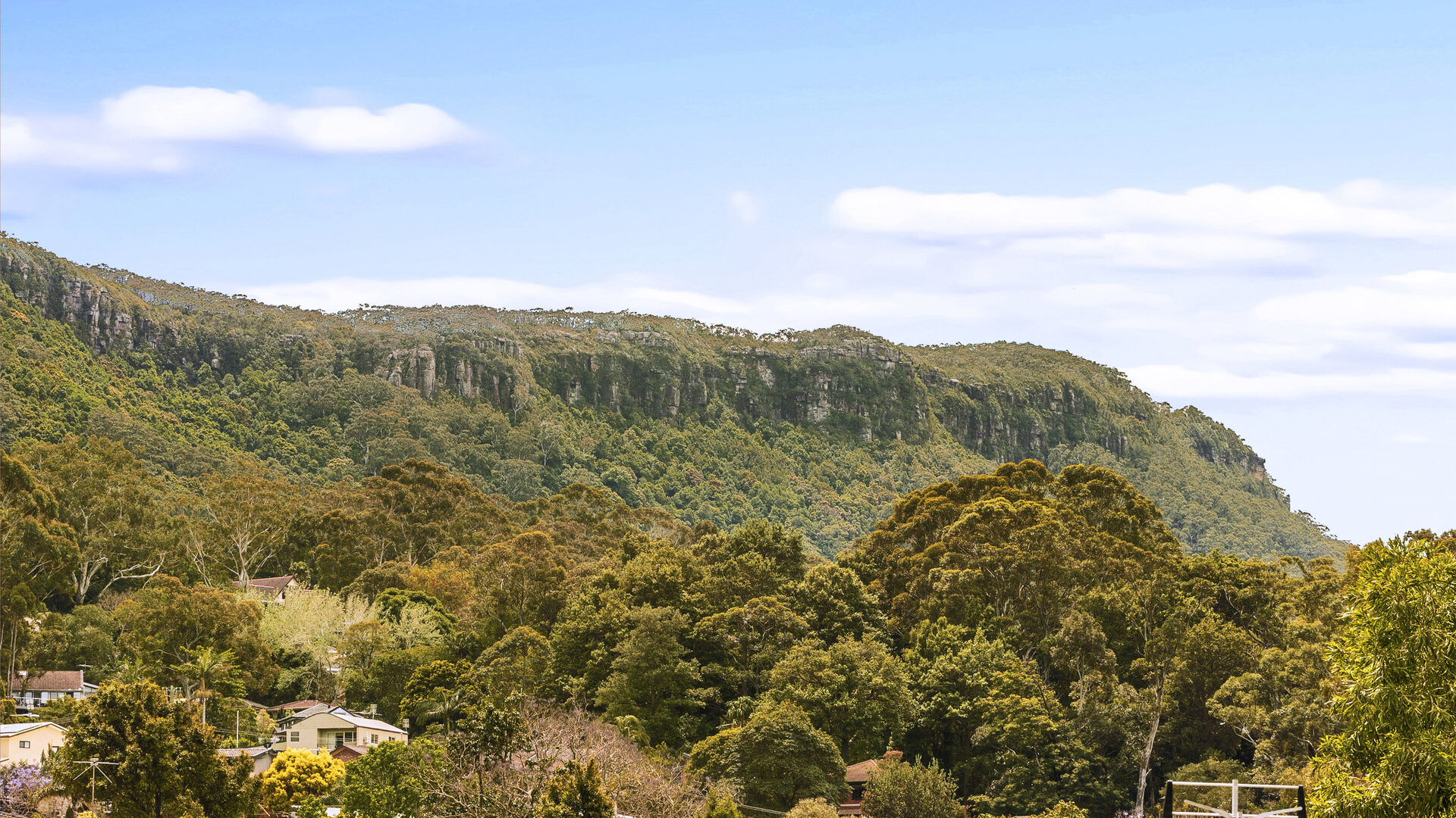 Sold - 77 Lachlan Street - New Property in Thirroul - Real Estate by Vanessa Denison-Pender