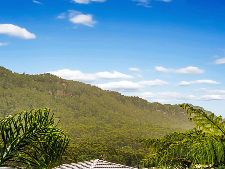 Sold - 206A Lawrence Hargrave Drive - New Property in Thirroul - Real Estate by McGrath Thirroul