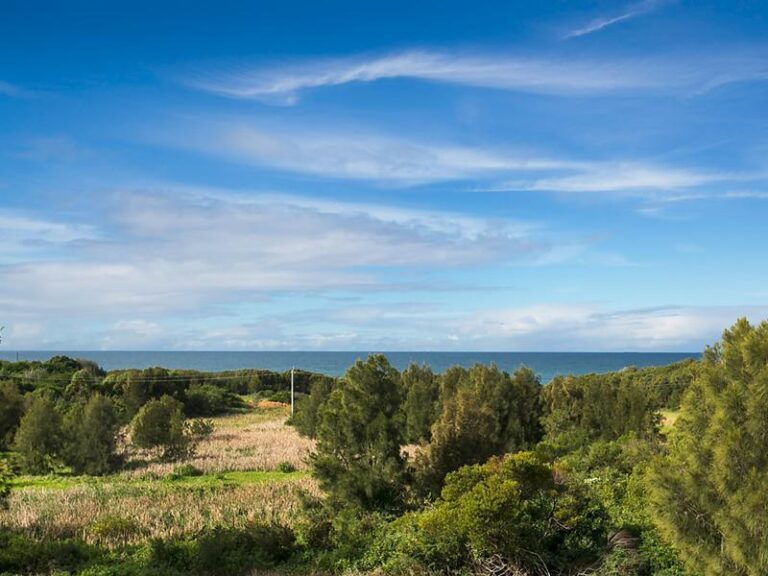 Sold - 43 Panmills Drive - New Property in Bulli - Real Estate by McGrath Thirroul