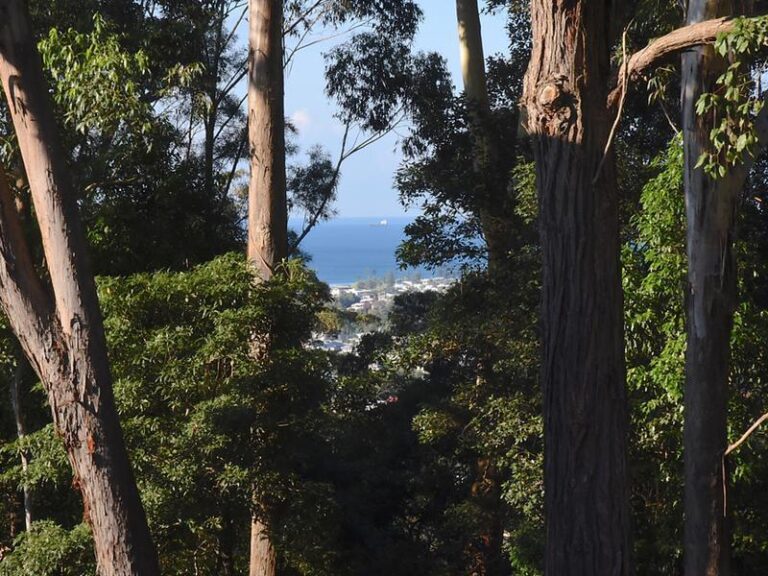Sold - 48 Armagh Parade - New Property in Thirroul - Real Estate by 