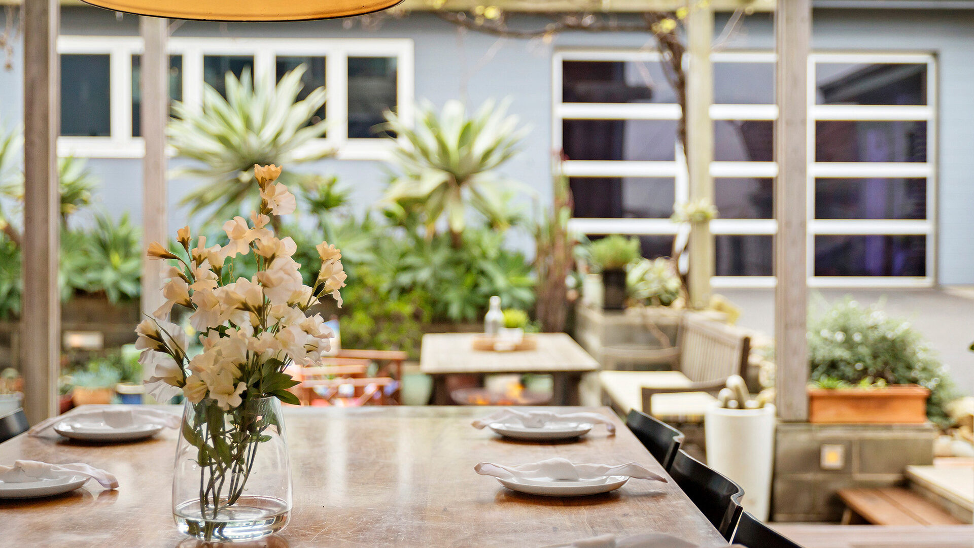 Sold - 18 Woodland Avenue - New Property in Thirroul - Real Estate by Vanessa Denison-Pender