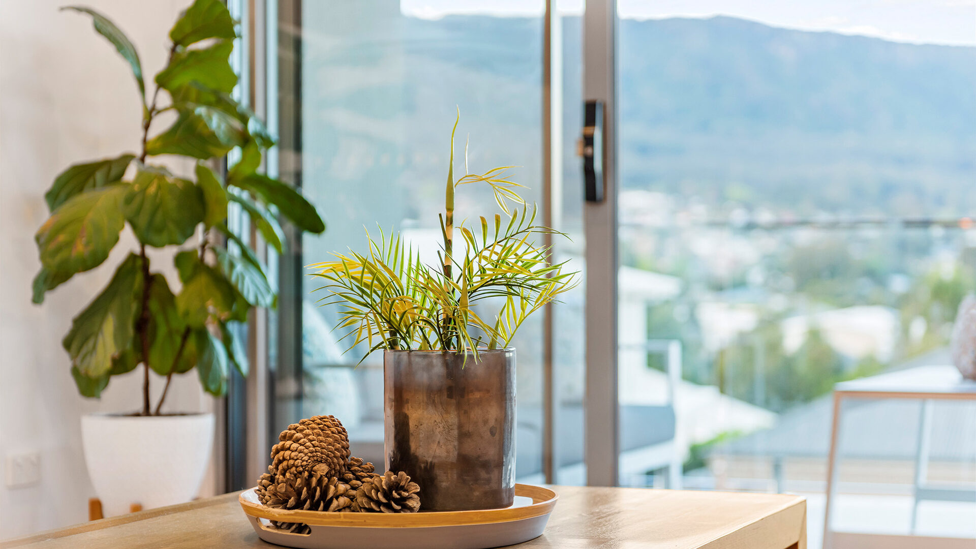 Sold - 6 Air Avenue - New Property in Bulli - Real Estate by McGrath Thirroul
