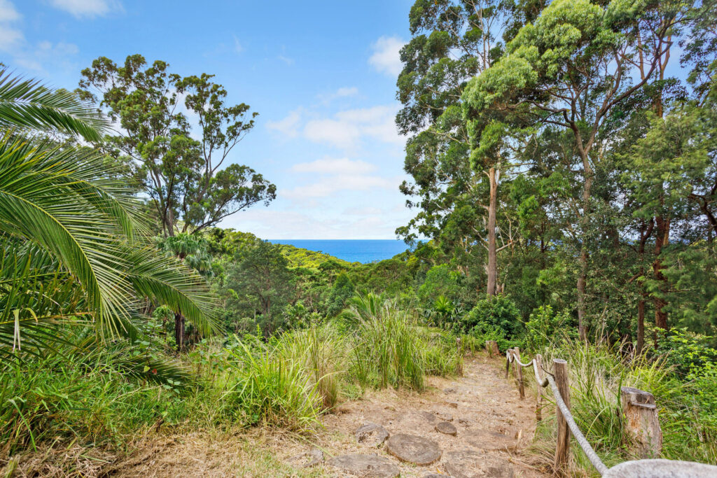 Sold - 87 Buttenshaw Drive - New Property in Austinmer - Real Estate by McGrath Thirroul