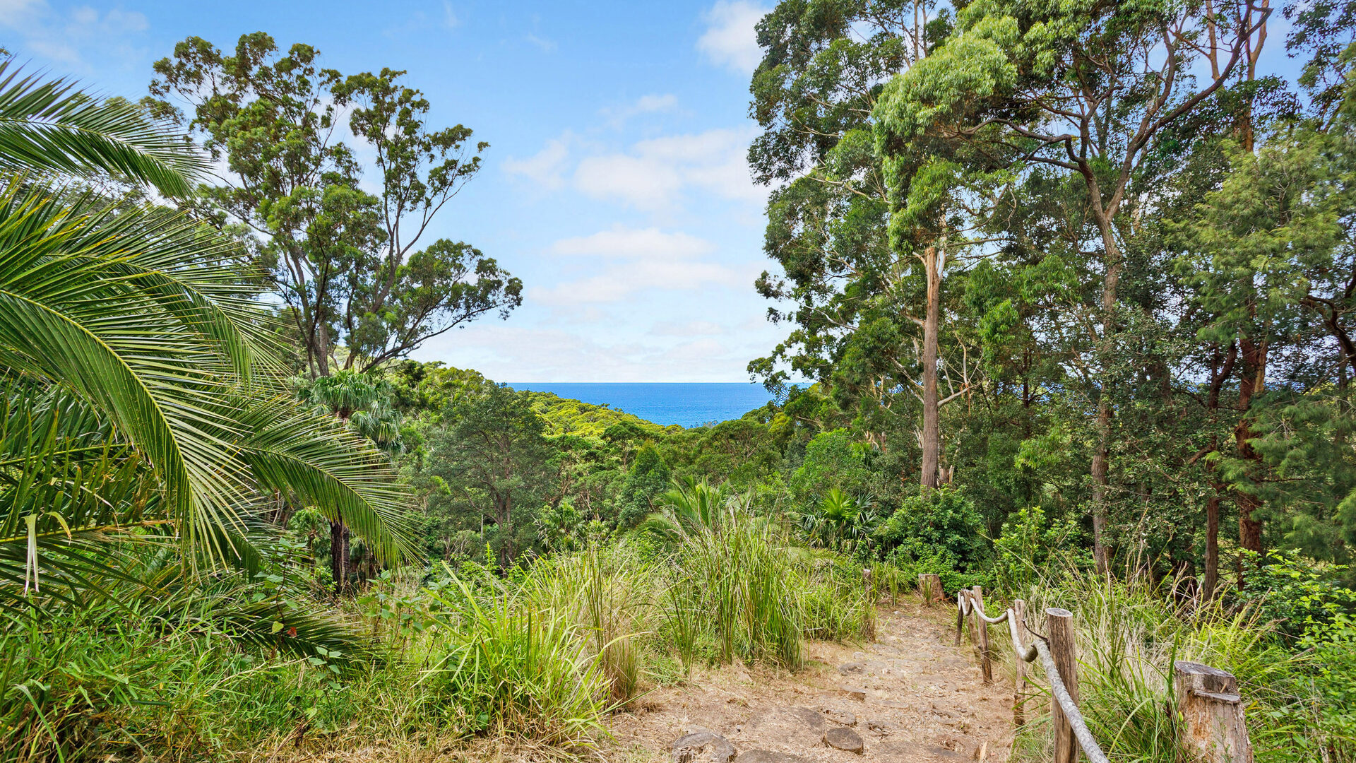 Sold - 87 Buttenshaw Drive - New Property in Austinmer - Real Estate by McGrath Thirroul