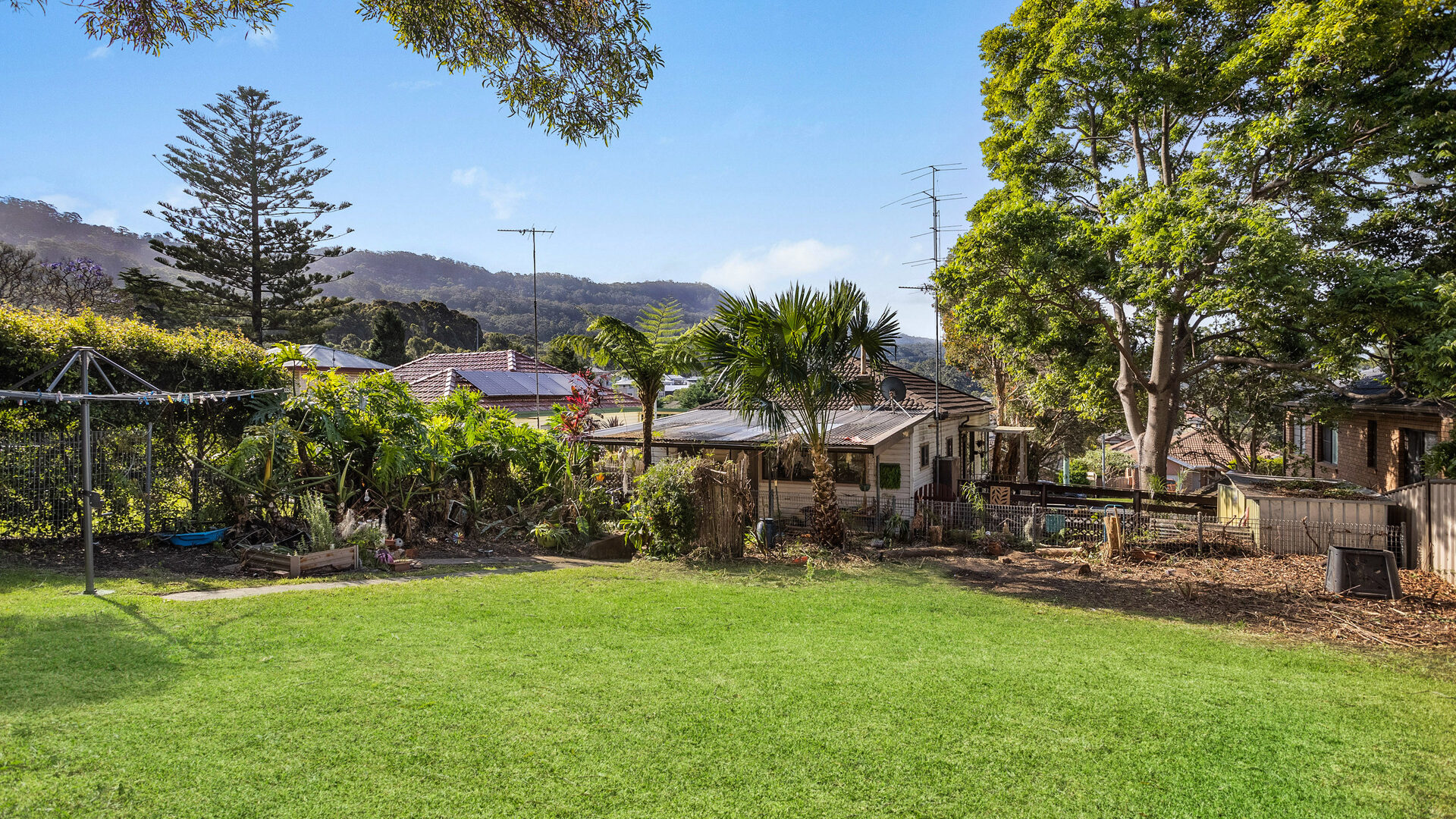 Sold - 35 Duke Street - New Property in Woonona - Real Estate by McGrath Thirroul
