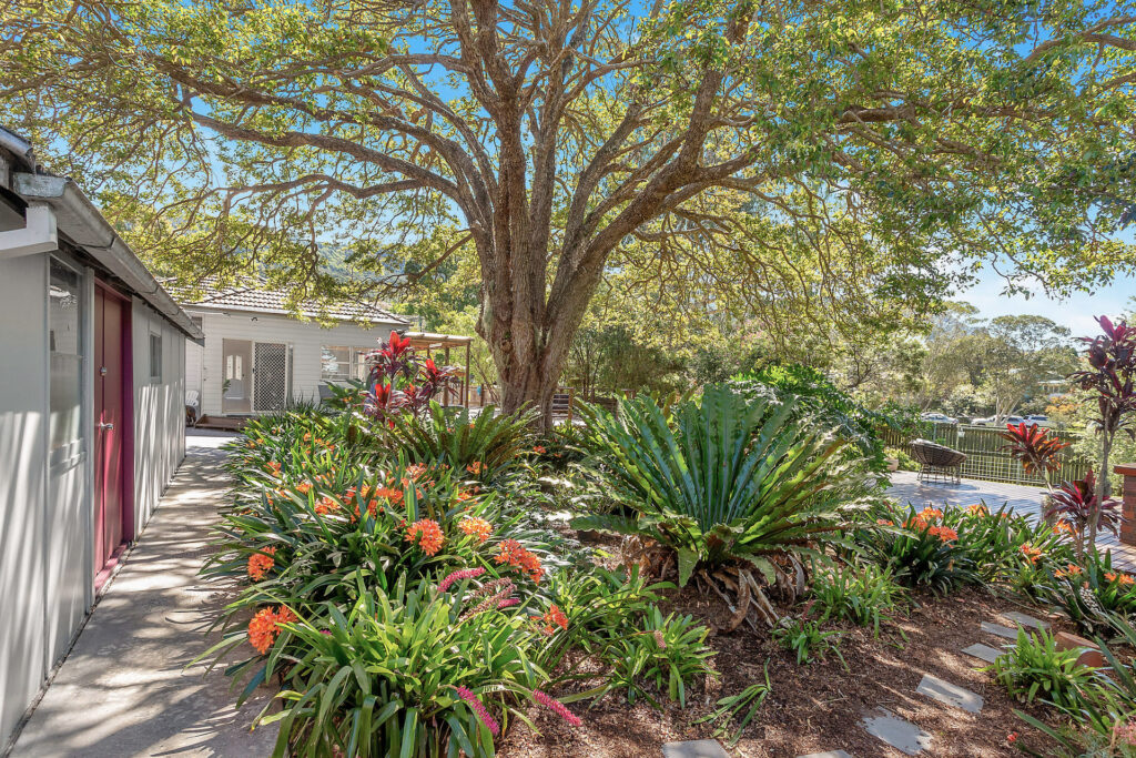 Sold - 39 Pass Avenue - New Property in Thirroul - Real Estate by Vanessa Denison-Pender