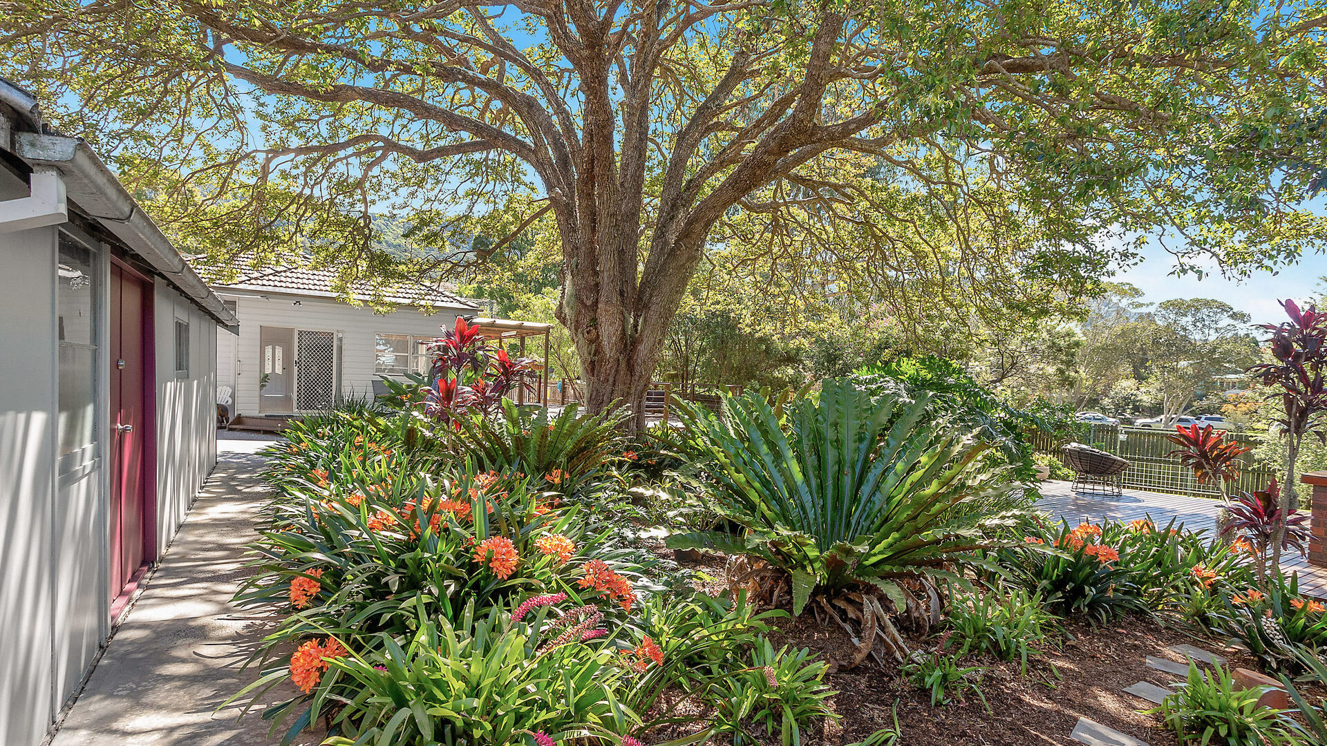 Sold - 39 Pass Avenue - New Property in Thirroul - Real Estate by Vanessa Denison-Pender